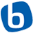Logo Bluechiip Limited