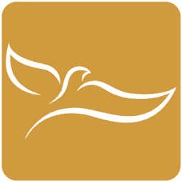 Logo Golden MV Holdings, Inc.