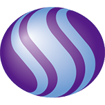 Logo SAN Holdings, Inc.