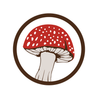 Logo Psyched Wellness Ltd.