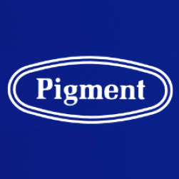 Logo Nippon Pigment Holdings Co., Ltd.