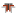 Logo Timah Resources Ltd.