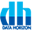 Logo Data Horizon Co., Ltd.