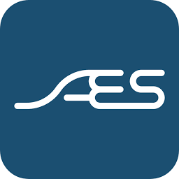 Logo Aluminum Extruded Shapes, Inc.
