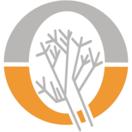 Logo Orion Minerals Ltd.