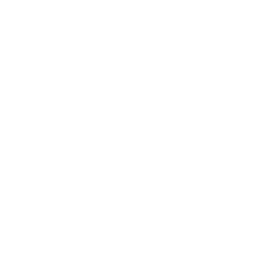 Logo The Pride Group, Inc.