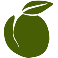 Logo Apricot KK