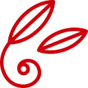 Logo Insignis SAS