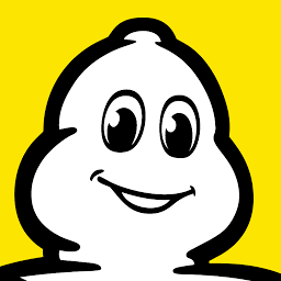 Logo Michelin Romania SA
