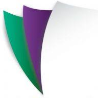 Logo Papico Ltd.
