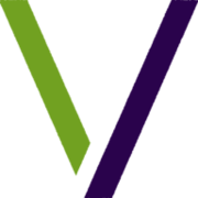 Logo Vynamic LLC