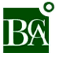 Logo Ballentine Capital Advisors, Inc.