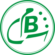 Logo Chinguitty Bank