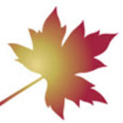 Logo The Golden Charter Trust