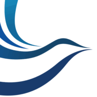 Logo Optima Tax Relief LLC