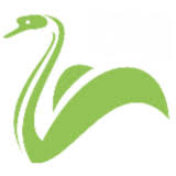 Logo Cygnet Group Ltd.