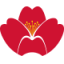 Logo Qingdao Airlines