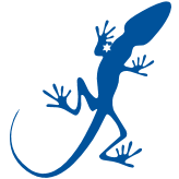 Logo Star Lizard Consulting Ltd.