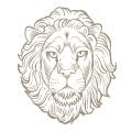 Logo Hunter Laing Holdings Ltd.