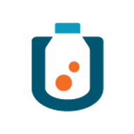 Logo Bruder Consulting & Venture Group