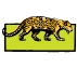 Logo Nature & Culture International