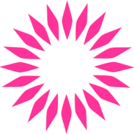 Logo Protea Capital Management