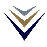 Logo Voluxis Ltd.