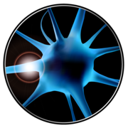 Logo Neuroloop GmbH