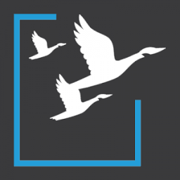 Logo RBT CPAS LLP