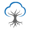 Logo Banyan Medical Systems, Inc.