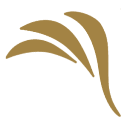 Logo Rebirth SpA