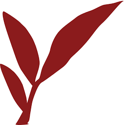 Logo The MicroDreams Foundation, Inc.