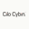 Logo Cilo Cybin Holdings Ltd.