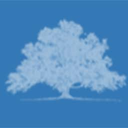 Logo James A. Holmes (Investment Management)